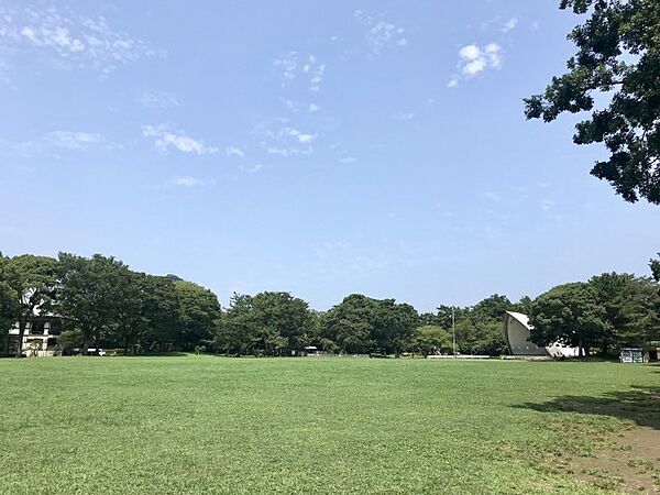 公園 1600m 平塚総合公園
