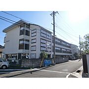 アクシア西村 3階 築39年7ヶ月の賃貸物件