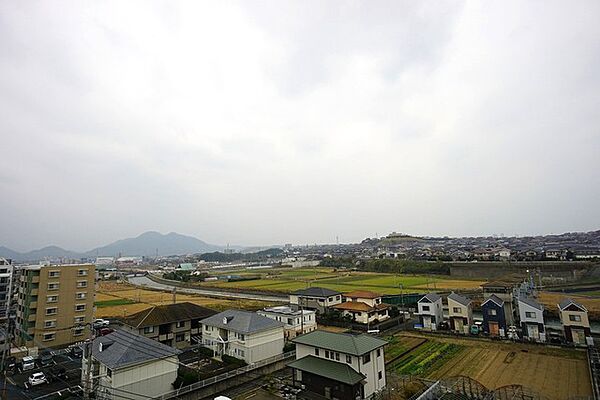 高層マンションならではの眺望。バルコニーからは緑豊かな景色を楽しむことが出来ます。南向きで、日当たりも良好。