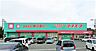 周辺：ディスカウントドラッグコスモス　伊岐須店