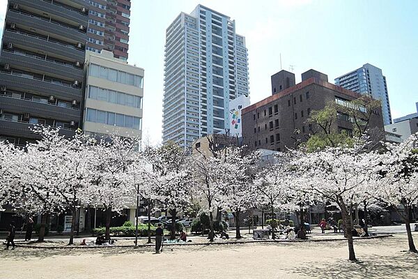 北西約40ｍにある北新町公園。オリックス劇場の横にある大きな公園で、春にはたくさん桜が咲きます。
