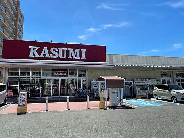 フードマーケットカスミ柏たなか駅前店まで　650m　徒歩約9分
