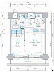 ベルシード梅島ブランシュ 1DKの間取り