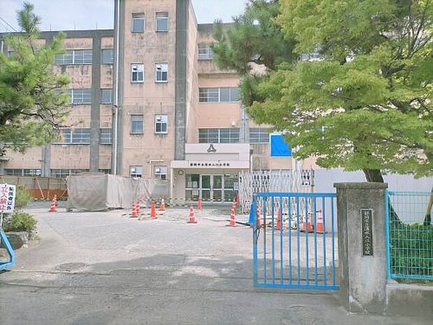 【小学校】静岡市立清水入江小学校まで773ｍ