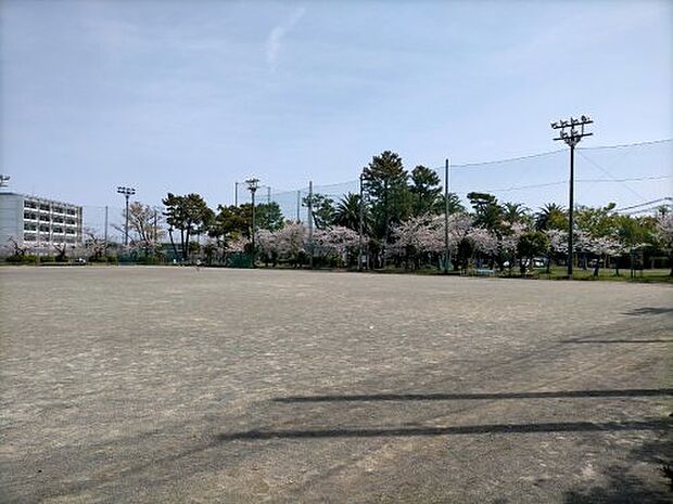 【公園】清水桜ヶ丘公園まで1114ｍ