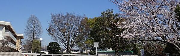和良比小学校：0.9km（徒歩12分） 900m