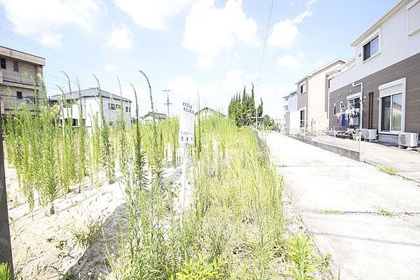 北側前面道路
