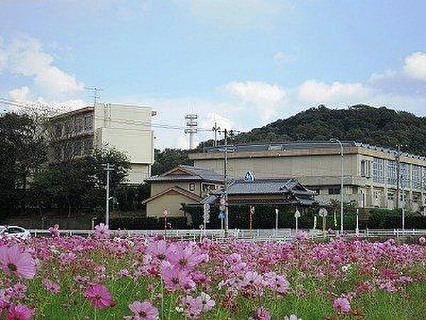 八ツ面小学校 900m