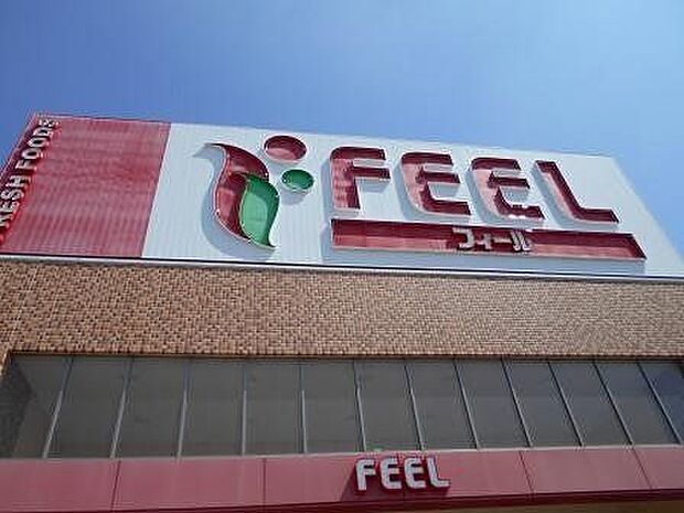 フィール ココデイ 490m