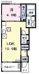 フラジール（fragile） 1階1LDKの間取り