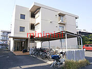 ハイツ’８１ 3階 築43年5ヶ月の賃貸物件