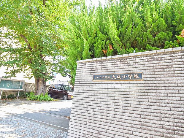 周辺環境-小学校(950m)大成小学校