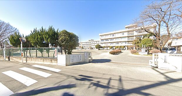 周辺環境-小学校(600m)武蔵野小学校