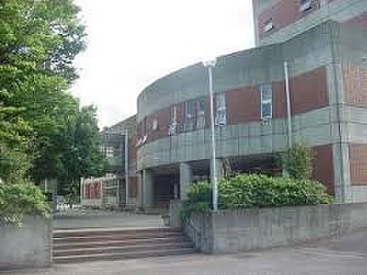 周辺環境-中学校(700m)八王子中学校