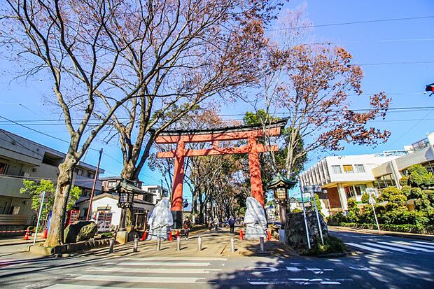 周辺環境-公園(1000m)大宮氷川神社