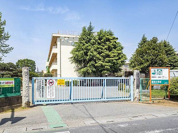 周辺環境-小学校(550m)原市小学校