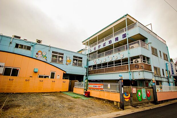 周辺環境-幼稚園・保育園(200m)しらかば幼稚園
