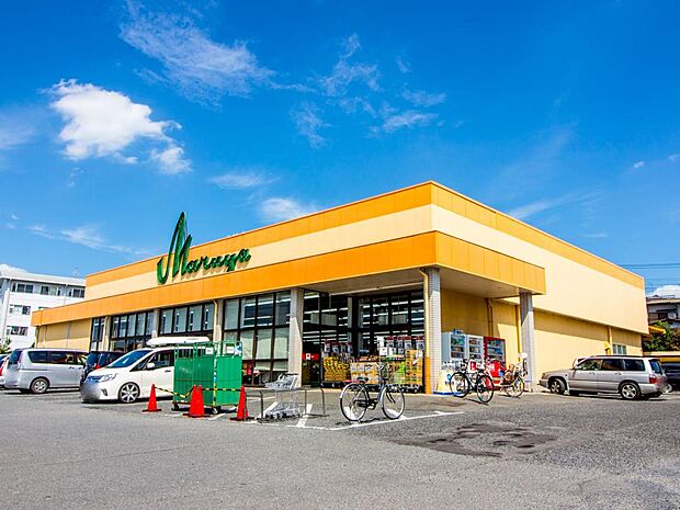 周辺環境-スーパー(160m)マルヤ東新井店