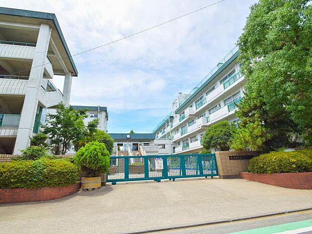 周辺環境-小学校(240m)栄和小学校