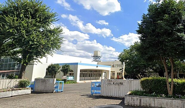 周辺環境-小学校(550m)針ヶ谷小学校