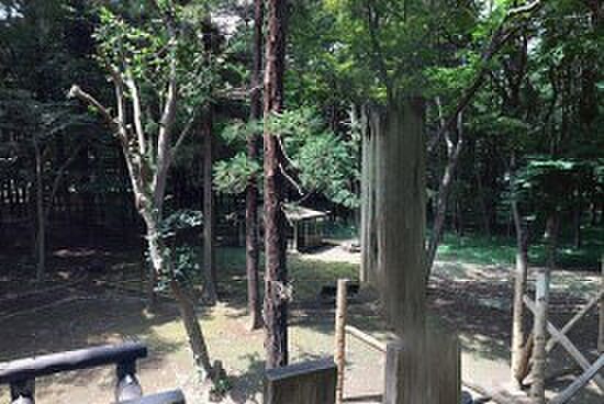 周辺環境-公園(1000m)平塚公園