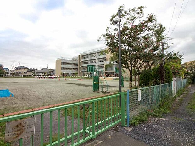 周辺環境-小学校(740m)栄小学校