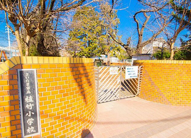 周辺環境-小学校(580m)植竹小学校