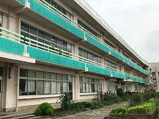 周辺環境-小学校(1590m)小針小学校