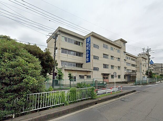 周辺環境-小学校(600m)寺尾小学校
