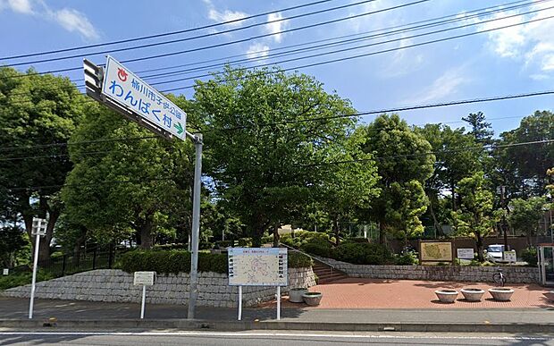 周辺環境-公園(1000m)こども公園わんぱく村