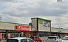 周辺：周辺環境-スーパー(750m)コープみらい二ツ宮店