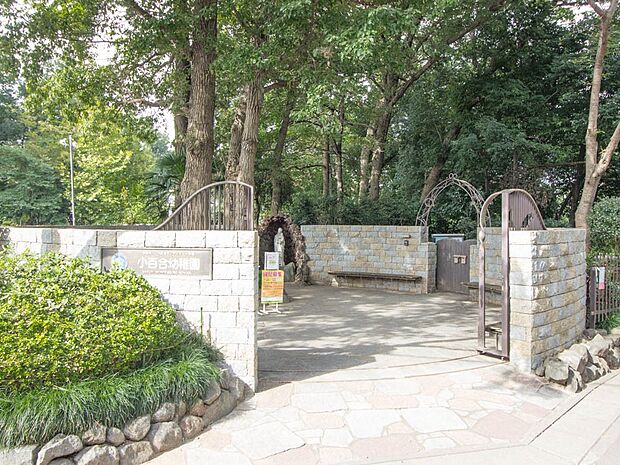 周辺環境-幼稚園・保育園(600m)小百合幼稚園