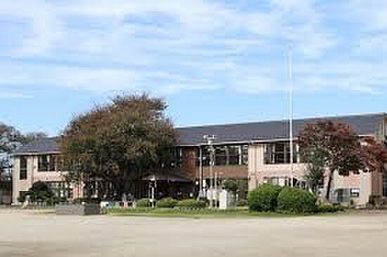 周辺環境-小学校(590m)石戸小学校