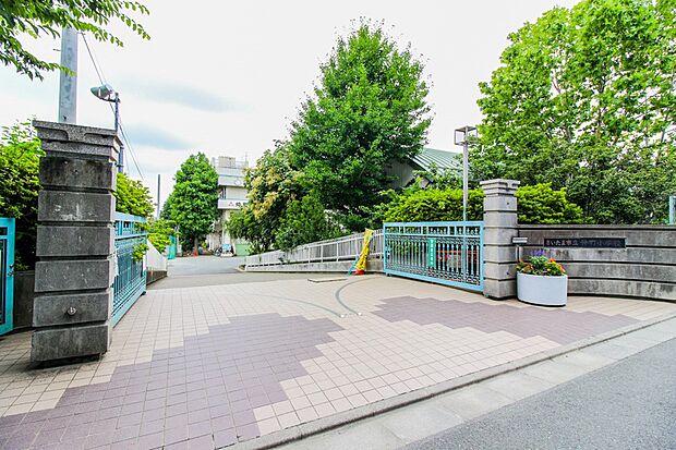 周辺環境-小学校(300m)仲町小学校