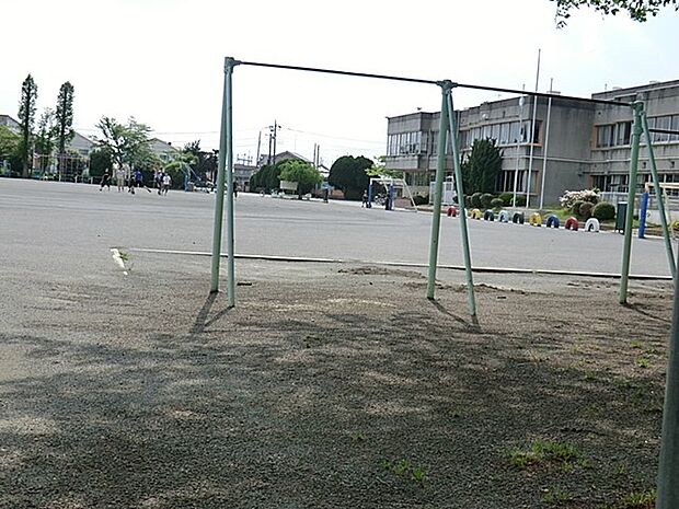 周辺環境-小学校(480m)泰平小学校