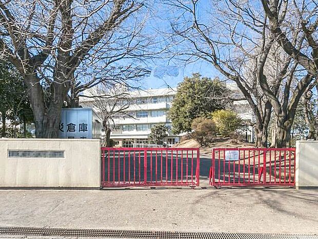 周辺環境-小学校(490m)大石南小学校