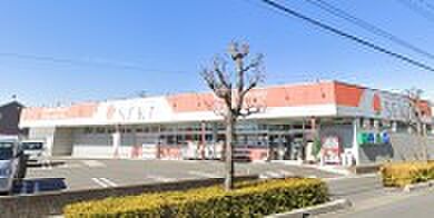 周辺環境-ドラッグストア(370m)ドラッグセキ沼南店