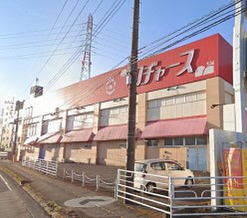 周辺環境-スーパー(300m)ロヂャース北本店
