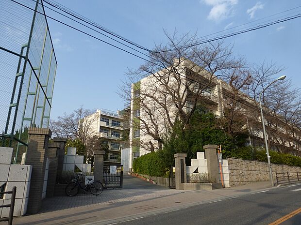 周辺環境-中学校(500m)木崎中学校