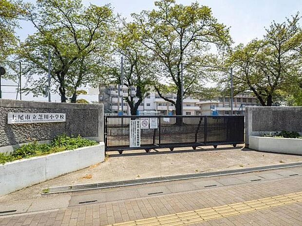 周辺環境-小学校(380m)芝川小学校