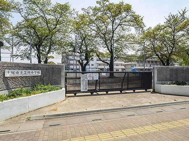 周辺環境-小学校(400m)芝川小学校