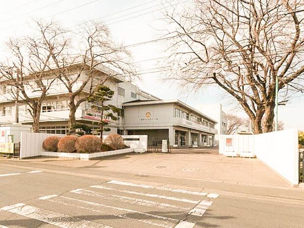 周辺環境-中学校(230m)大谷中学校