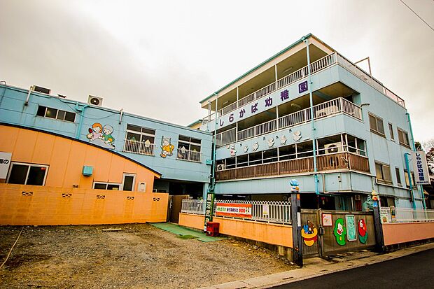 周辺環境-幼稚園・保育園(300m)しらかば幼稚園