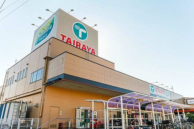 周辺環境-スーパー(600m)TAIRAYA浦和栄和店