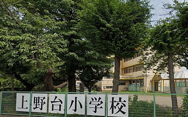 周辺環境-小学校(1130m)上野台小学校