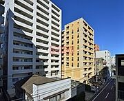 プラチナフォレスト錦糸町 9階 築18年8ヶ月の賃貸物件