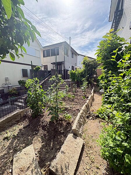 家庭菜園