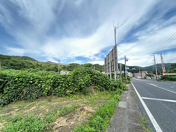 現地＋前面道路です