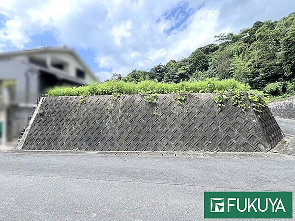 外観：340000296500