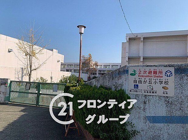 三木市立自由が丘小学校 徒歩17分。 1310m